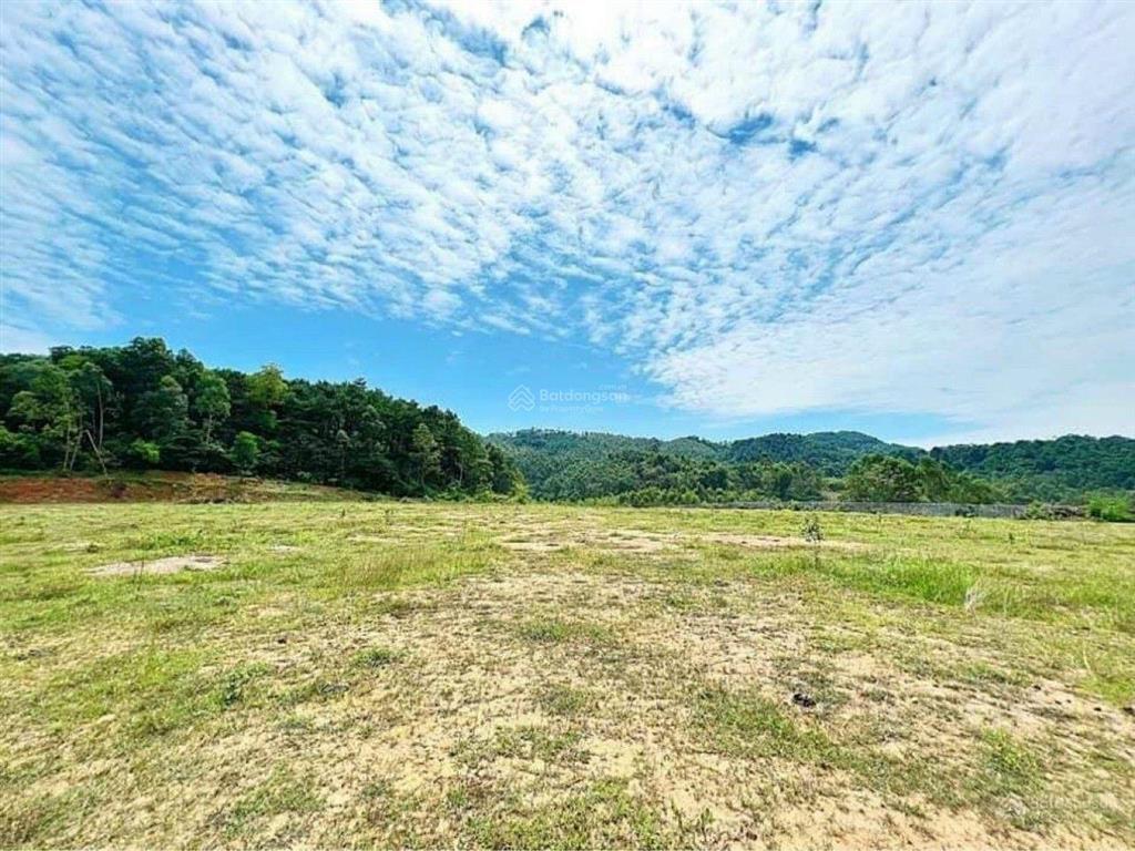 Cần bán mảnh đất 23.744m2 tại ngọc thanh  phúc yên  vĩnh phúc