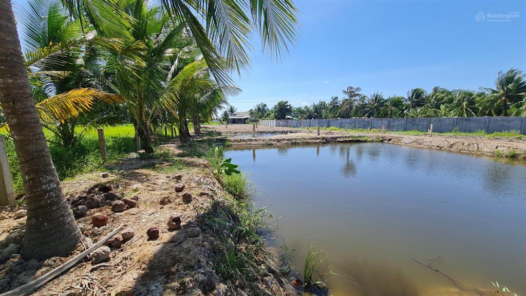 Bán đất giá tốt view đẹp 460m2 tại bình ninh, chợ gạo, tiền giang, 380 triệu