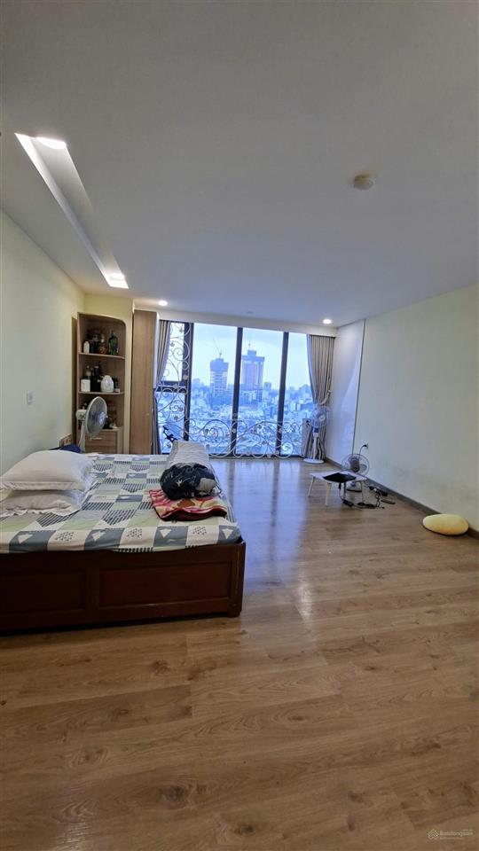 Bán penthouse sân vườn chung cư h2 hoàng diệu q4  200m², 6pn giá 16 tỷ