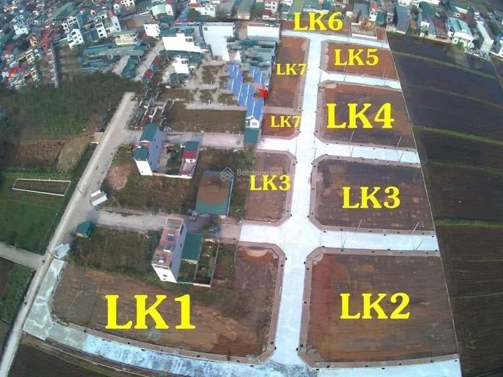Tổng kho đấu giá rặng sắn  cao dương