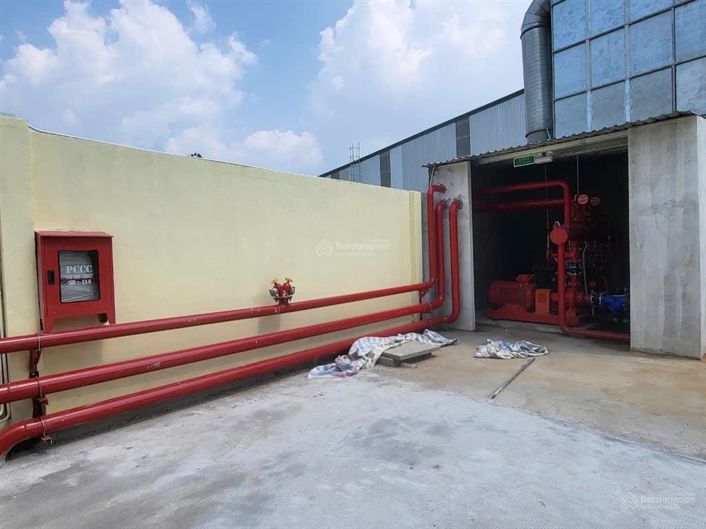 Cho thuê 4300m2 xưởng mới 100% tân uyên, giá 67.500đ/m2, pccc tự động, đường công, giấy tờ đầy đủ
