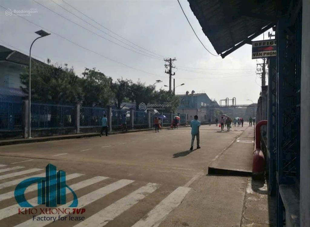 Cho thuê 3000m2 xưởng tân uyên, pccc tự động, đường cont, giấy tờ đầy đủ