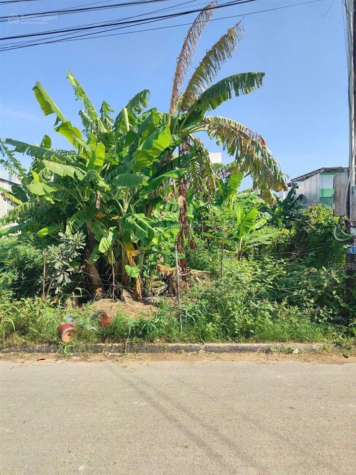 Bán đất mặt tiền la sơn phu tử, phường vĩnh quang cũ