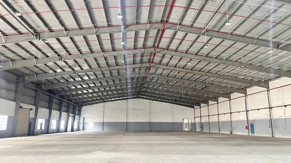 Cho thuê kho khu vực tân sơn nhất. 2500  6.000m². đường cont