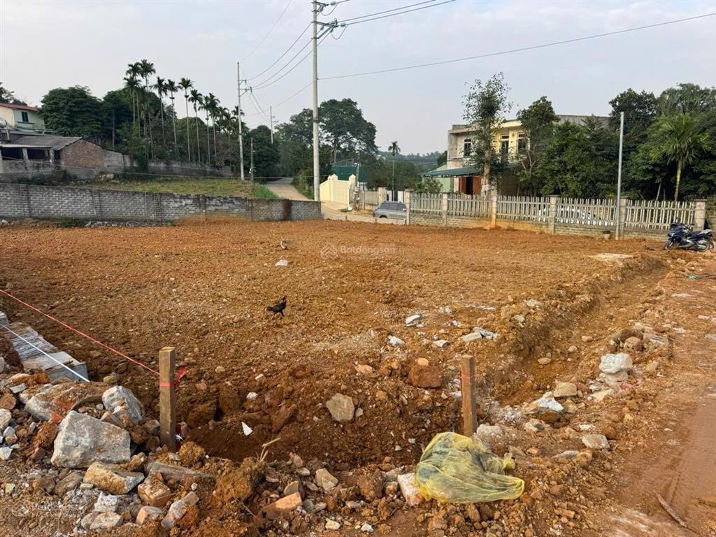 Chính chủ bán lô đất đẹp 362m2 trục chính thôn rùa, tuyến đường thôn muồng voi  rùa xã  yên bài