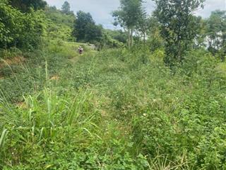 Chính chủ gửi bán lô đất 4.000m2 có 400m2 thổ cư view đồi núi, cách hà nội khoảng 40 phút