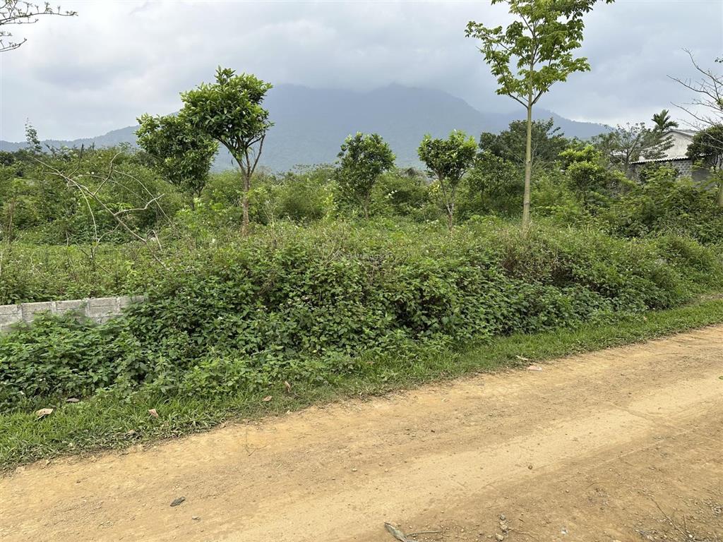 Chính chủ gửi bán lô đất nghỉ dưỡng đẹp tại thôn muồng voi xã yên bài, hà nội diện tích