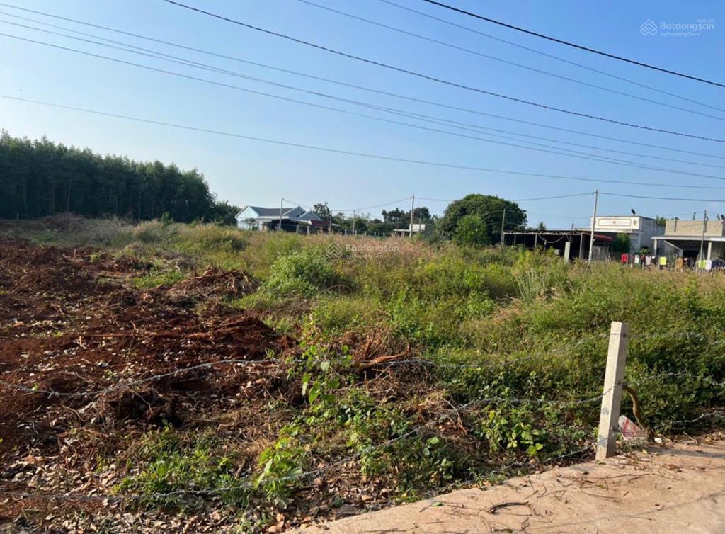 Bán đất đẹp gần chợ 4000m2 thị trấn đất đỏ, bà rịa vũng tàu 13,5 tỷ