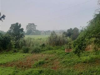 Bán đất tại khánh thượng, ba vì, hà nội giá tốt 3 nghìn vnd, 1600m2