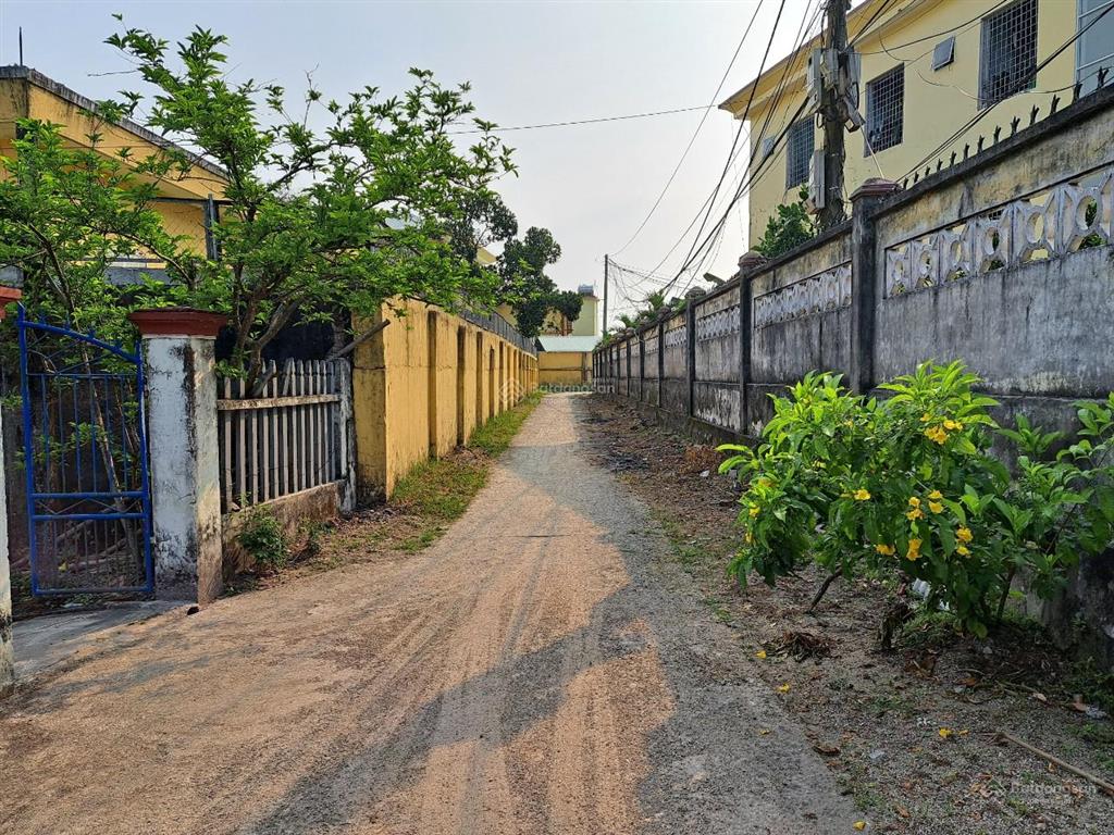 Cần bán nhà c4 và đất 1000m2 odt