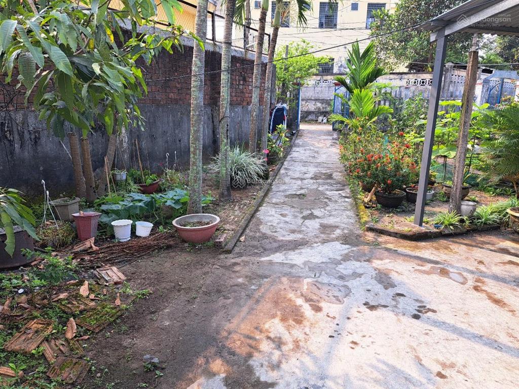 Cần bán nhà c4 và đất 1000m2 odt
