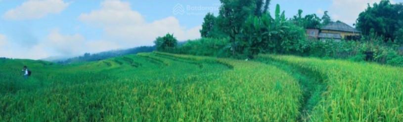 Bán đất mò phú chải xã y tý  bát xát  lào cai