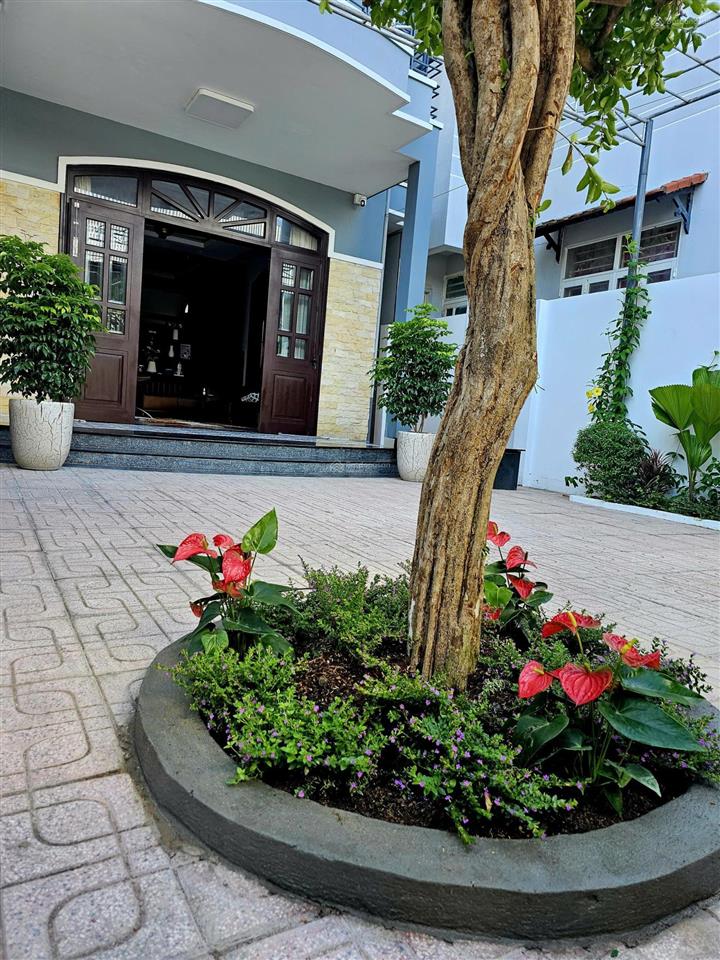 Biệt thự 2 tầng, shr, full nội thất trên đất 197m2, khu trung tâm, cách biển đường trần phú 3.5km