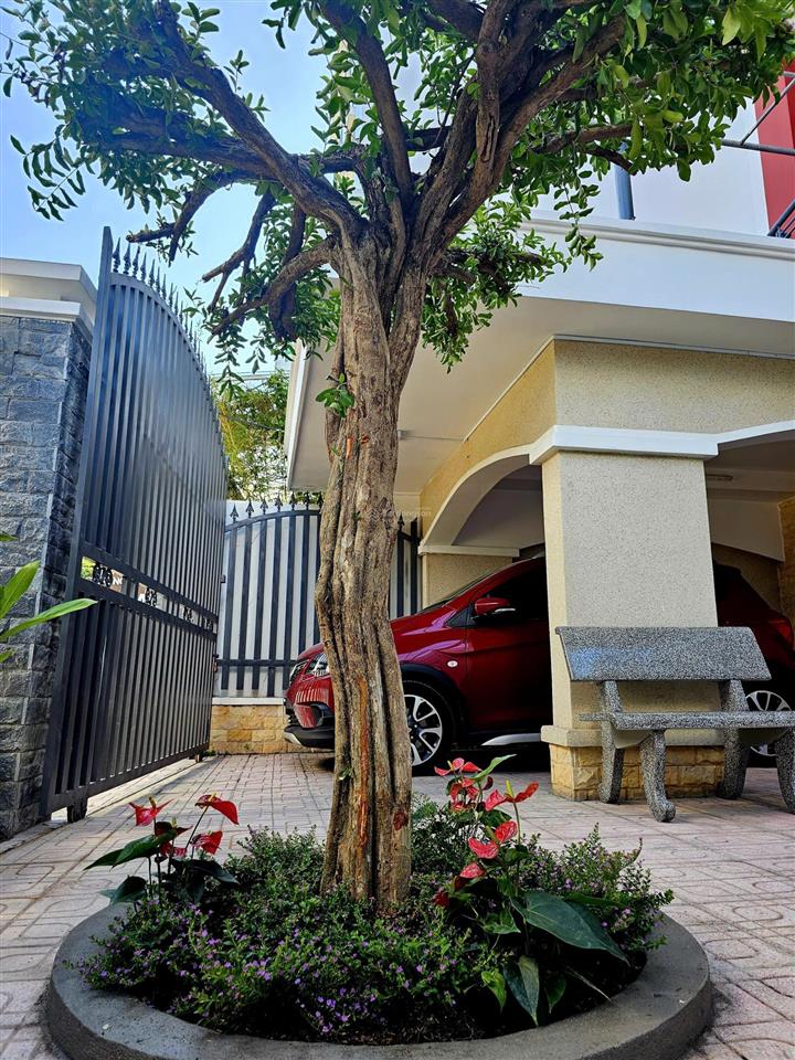 Biệt thự 2 tầng, shr, full nội thất trên đất 197m2, khu trung tâm, cách biển đường trần phú 3.5km