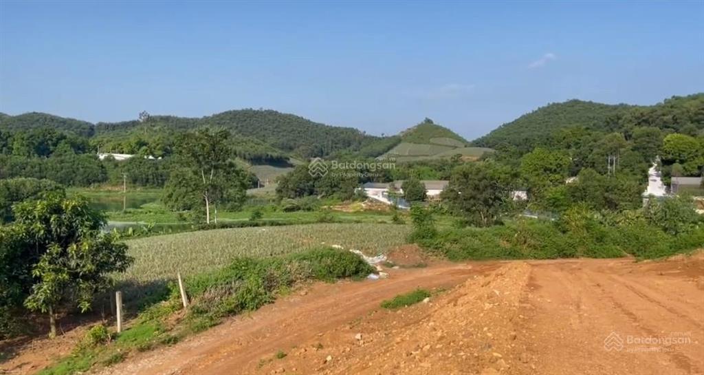 Bán trang trại 15ha tam nông phú thọ