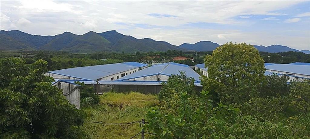 Bán trang trại 15ha tam nông phú thọ