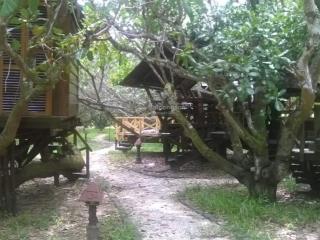 Bán 5ha đất gần biển lộc an 7000m2 thổ cư 2 mt nhựa 12mliền kề đường ven biển vũng tàubình châu