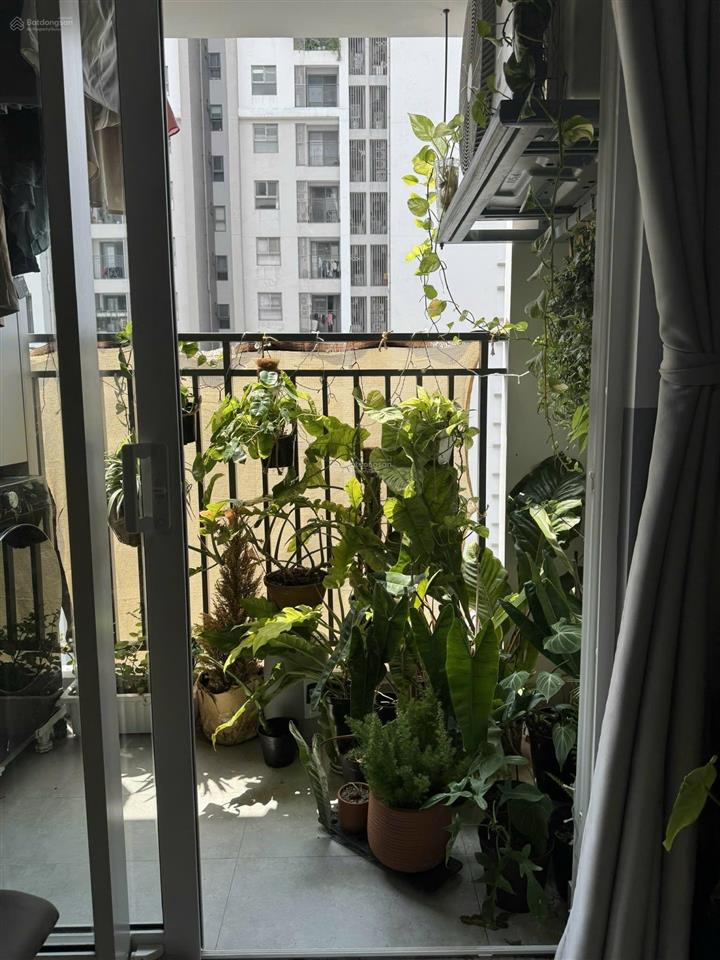 Cho thuê cc 66m2, 2pn, 2vs tại hoàng trọng mậu