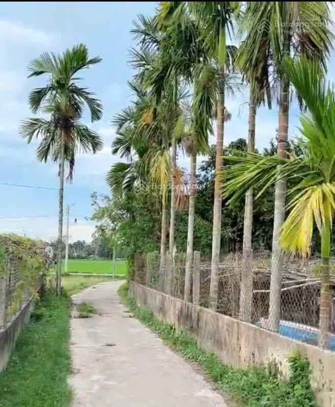 Bán đất tại xã bình quý, giá ưu đãi 599 triệu, 871m2