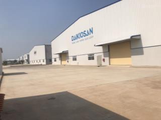 Cho thuê kho xưởng 20.000m2 (xd 13.000m2) ở chợ đệm, tân túc. đường container tự do, pccc tự động