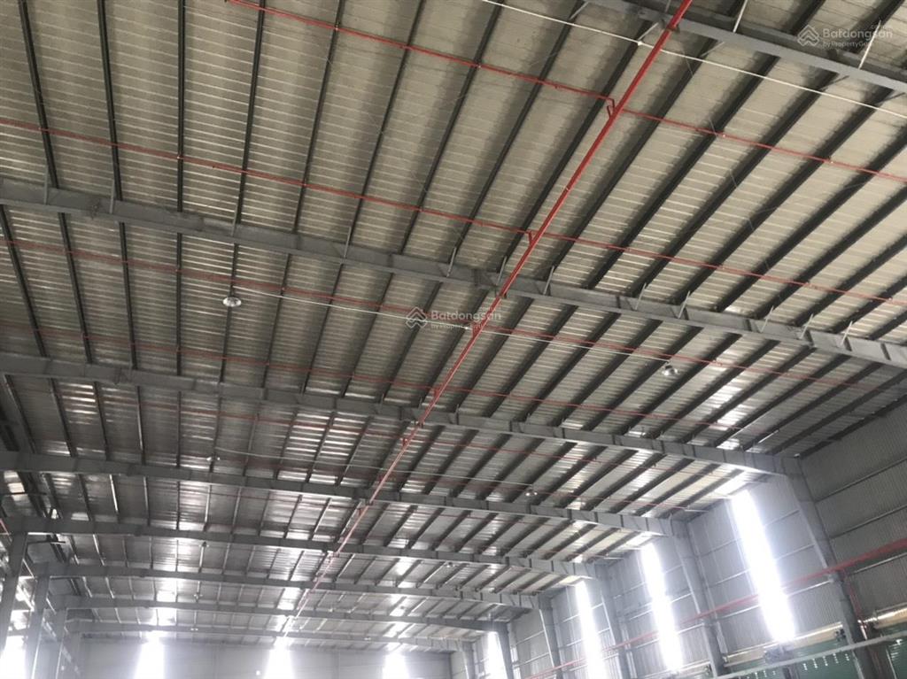 Cho thuê kho xưởng 20.000m2 (xd 13.000m2) ở chợ đệm, tân túc. đường container tự do, pccc tự động