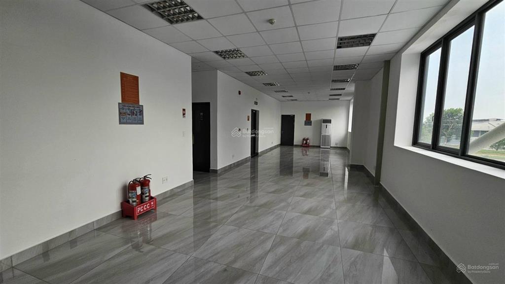 Cho thuê kho giá rẻ 4300m2 kcn phú an thạnh, bến lức. có dockcont, pccc tự động, nền epoxy