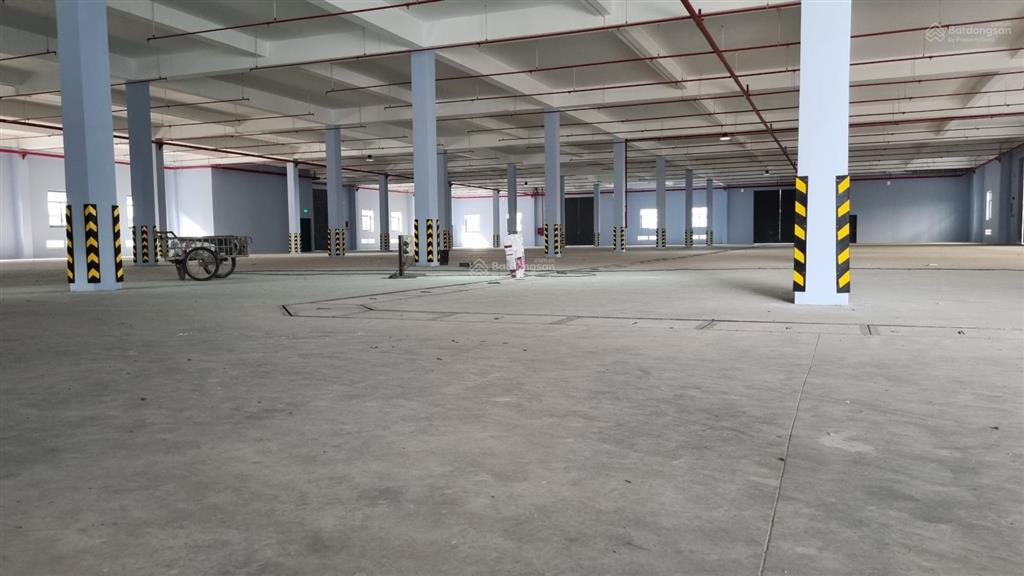 Cho thuê kho xưởng 4200m2 kcn xuyên á, đức hòa. kho mới, pccc tự động. giá 70k/m2