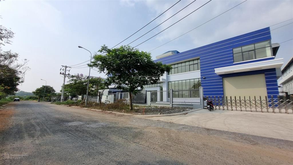 Cho thuê kho xưởng 4200m2 kcn xuyên á, đức hòa. kho mới, pccc tự động. giá 70k/m2
