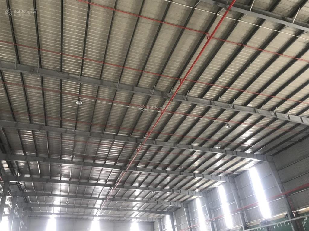 Cho thuê kho xưởng 6000m2 (xd 4000m2) mỹ yên, bến lức. đường xe container, pccc tự động. giá 250tr