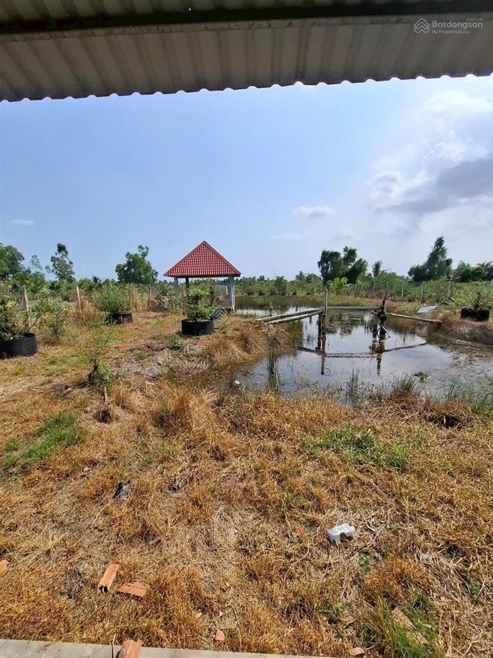 Bán đất đẹp tại đt 816, thạnh lợi, bến lức, 7,8 tỷ, 2700 m2