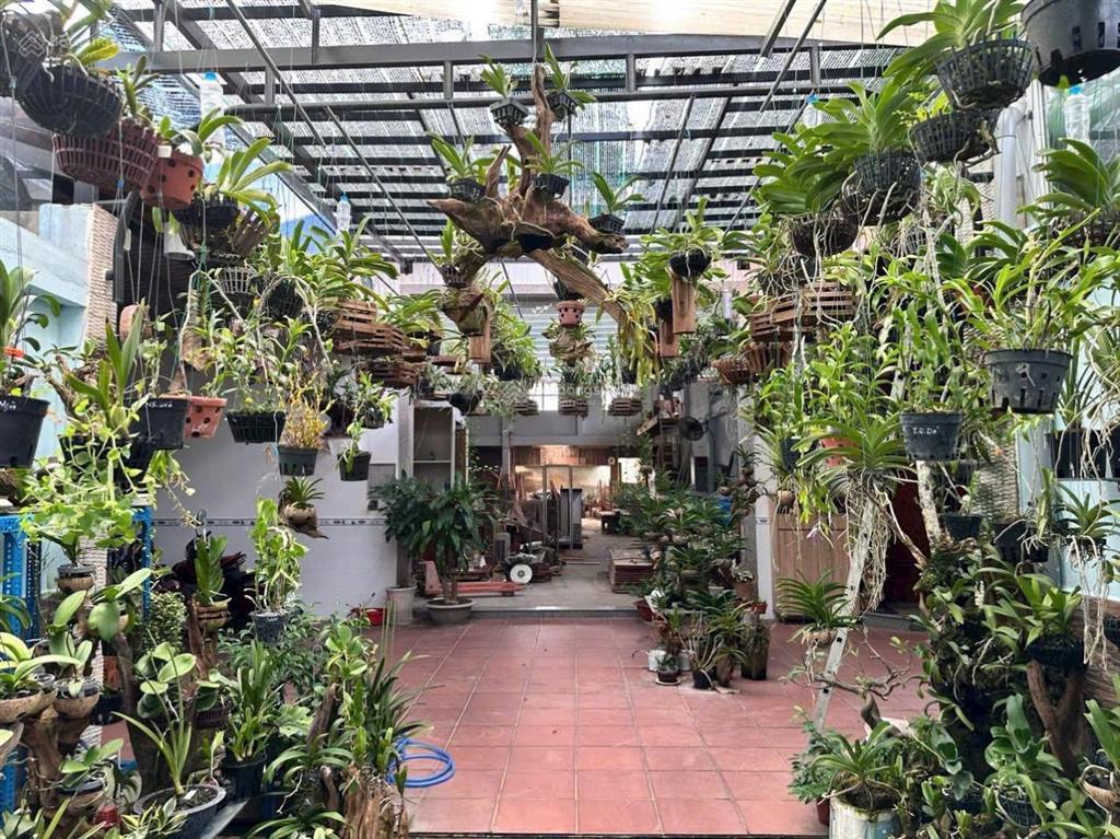 Mặt tiền tân xuân 2, 654m2, full thổ cư có nhà và xưởng