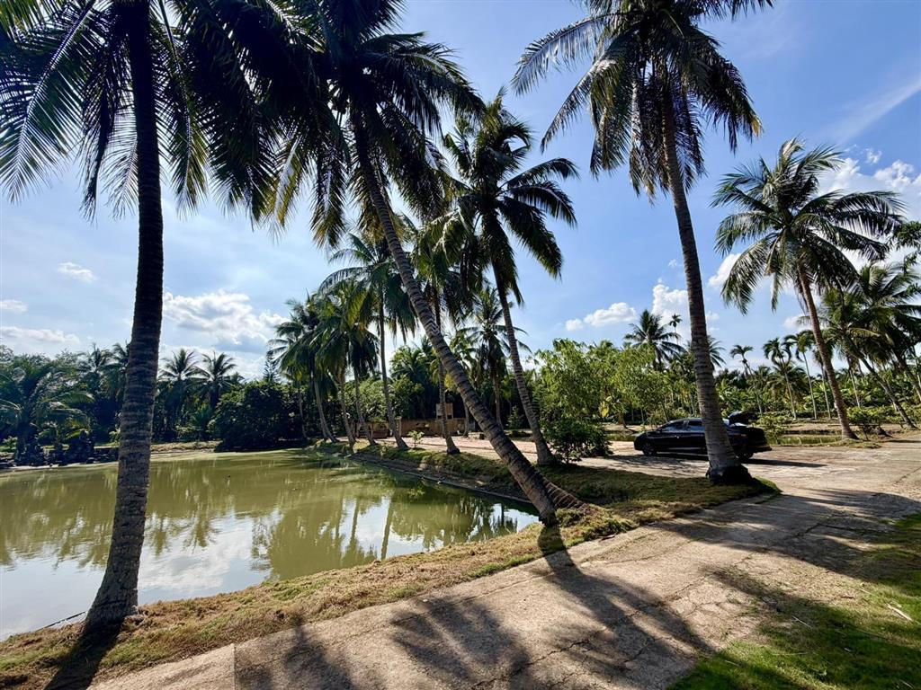 Khu nghỉ dưỡng sinh thái ven sông châu thành, bến tre  diện tích 9.600m2