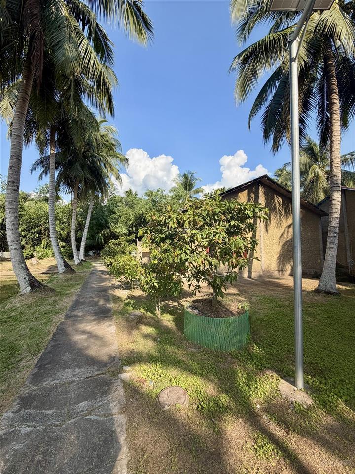 Khu nghỉ dưỡng sinh thái ven sông châu thành, bến tre  diện tích 9.600m2