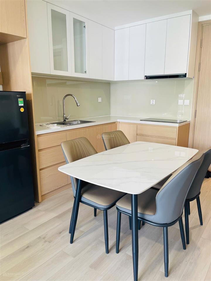 Cho thuê căn hộ 1pn+  full nội thất  hướng đông nam  11 triệu  lumiere boulevard