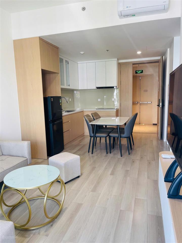 Cho thuê căn hộ 1pn+  full nội thất  hướng đông nam  11 triệu  lumiere boulevard