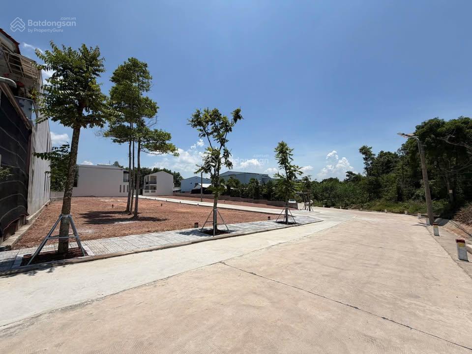 Mở bán dãy phân lô hoài thanh thông bùi thị xuân, chỉ 1 tỷ 5*