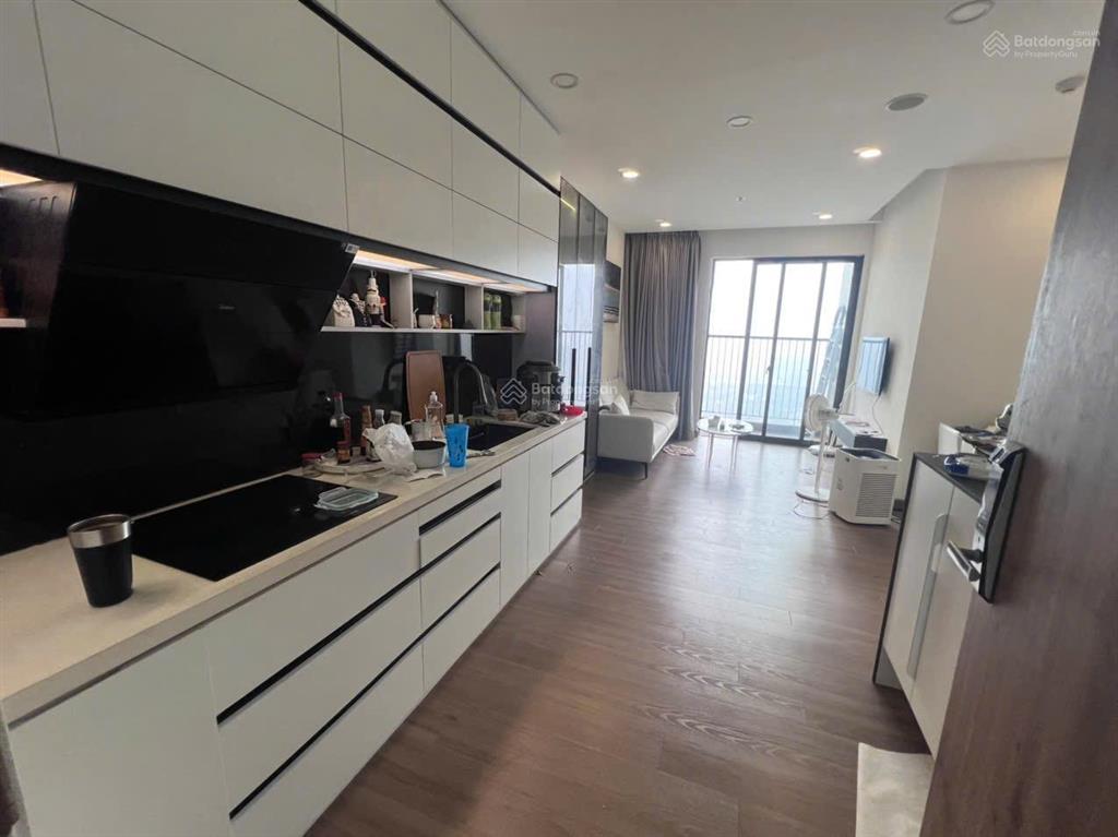 Skyoasis  cần bán căn 2pn2vs đông nam view đảo 4.5 tỷ bao phí