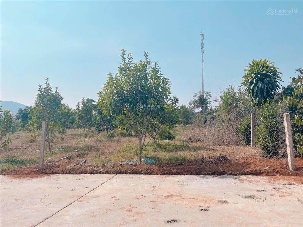 Chính chủ cắt lỗ cần bán gấp 591m2 sẵn vườn ăn trái tại mê linh  lâm hà, giá chỉ 2 tỷ 800