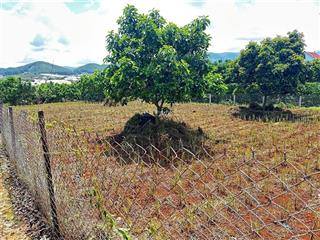 Cần bán nhanh lô đất vườn bằng phẳng ngay trung tâm xã nam ban  lâm hà