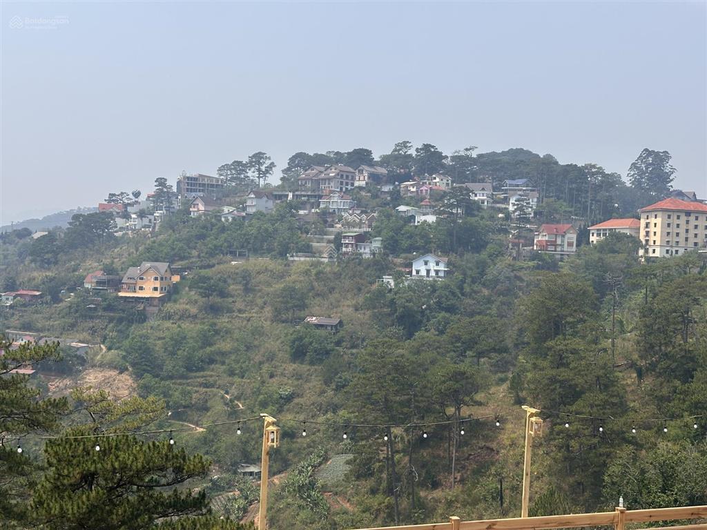Sở hữu nhanh tay lô đất mặt tiền kinh doanh view đồi thông nằm ngay tại đặng thái thân  đà lạt