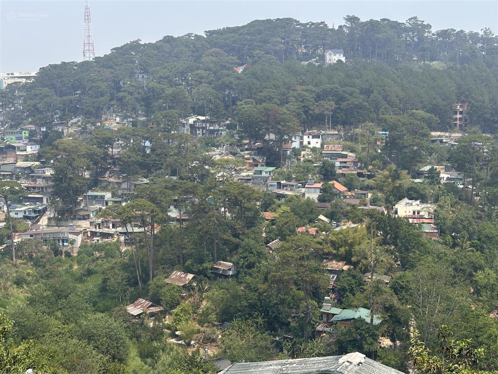 Sở hữu nhanh tay lô đất mặt tiền kinh doanh view đồi thông nằm ngay tại đặng thái thân  đà lạt