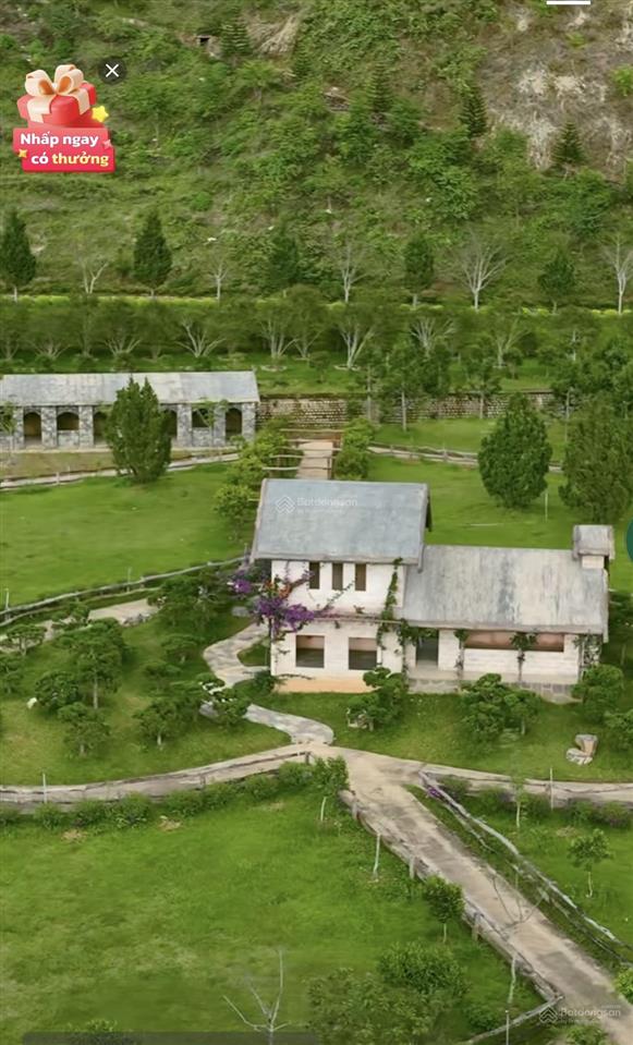 Bán đất view thung lũng đồi thông đạ nghịt  lạc dương
