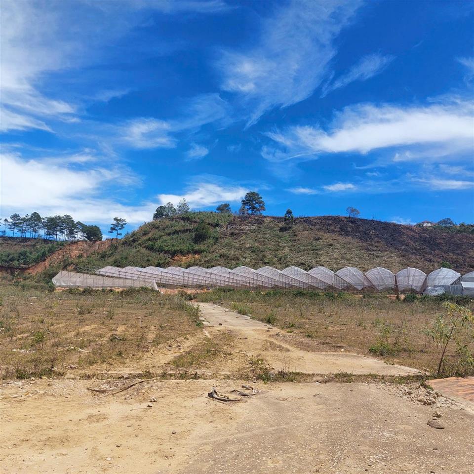 Bán đất view thung lũng đồi thông đạ nghịt  lạc dương
