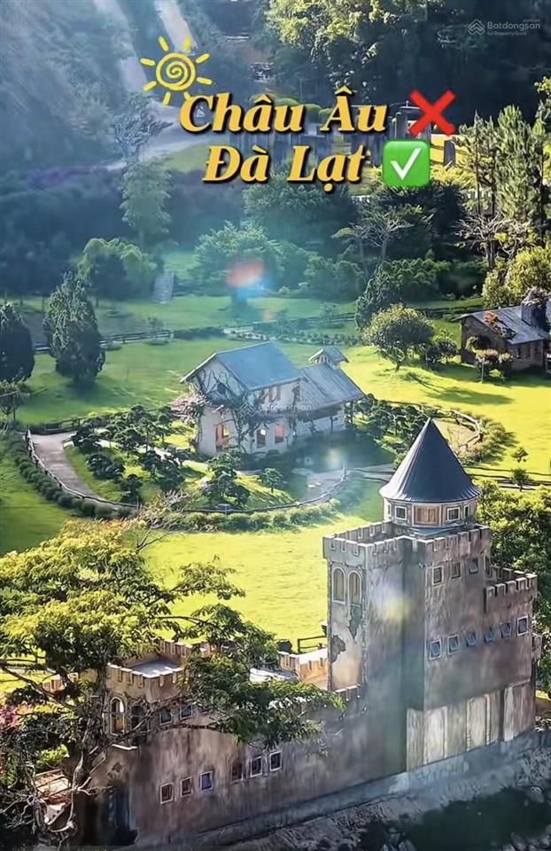 Bán đất view thung lũng đồi thông đạ nghịt  lạc dương