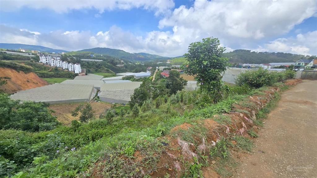 Sở hữu lô đất view đồi tại măng lin phường langbiang  đà lạt