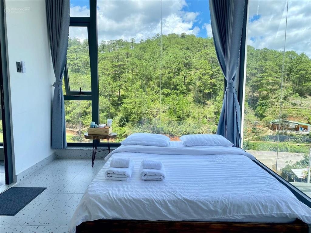 Bán homstay view đồi thông tại hoàng hoa thám  đà lạt