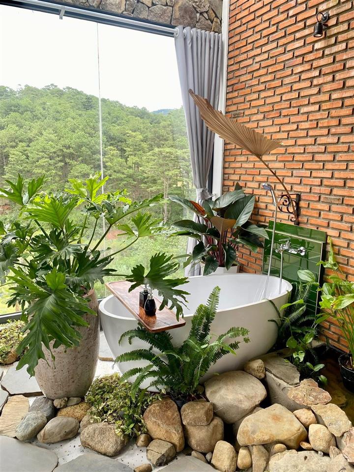 Bán homstay view đồi thông tại hoàng hoa thám  đà lạt