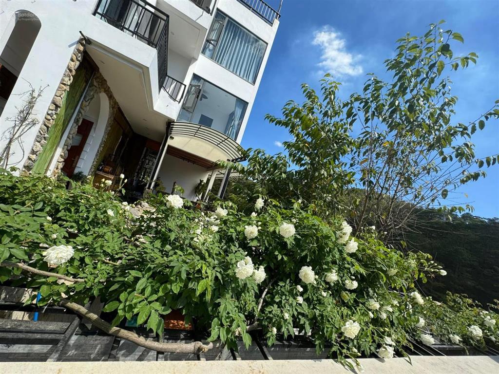 Bán homstay view đồi thông tại hoàng hoa thám  đà lạt