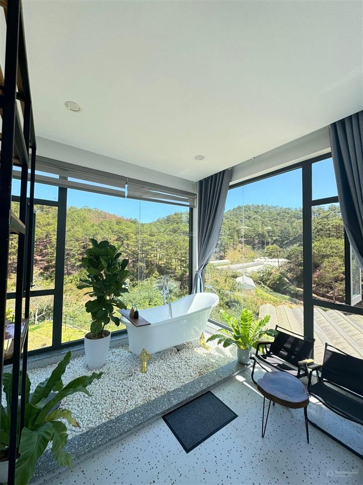 Bán homstay view đồi thông tại hoàng hoa thám  đà lạt