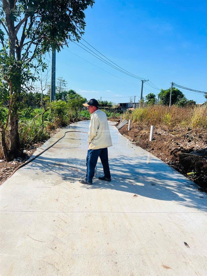 Đất thổ cư ấp thoại hương, xã xuân đông, huyện cẩm mỹ, đồng nai, khu dân cư, đường bê tông, giá rẻ